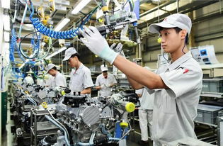 农村8090后为何弃工厂转战旅游业